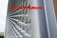 铝乐建材 专业岗巴装饰拉网铝单板厂家直销，打造卓越建筑装饰